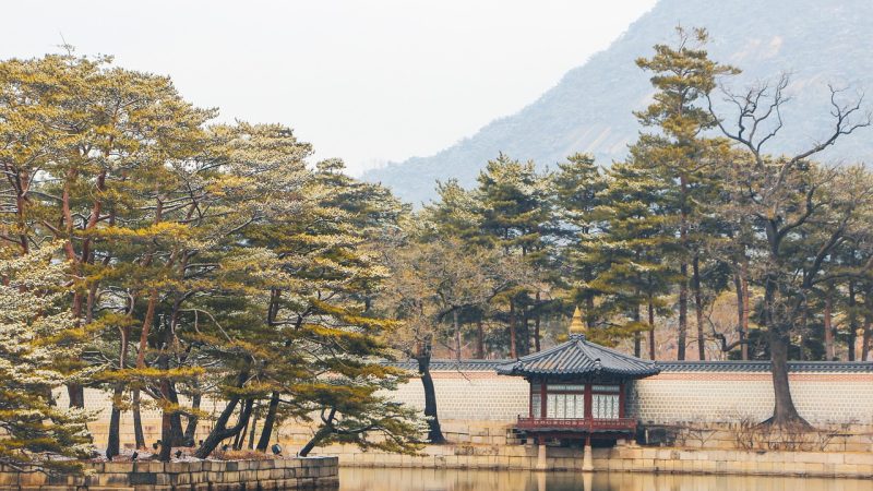 浙师大 场景参考图