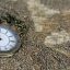 读者初阳湖畔的头像，傍晚湖面倒影风格插画