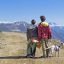 读者沈知远的头像